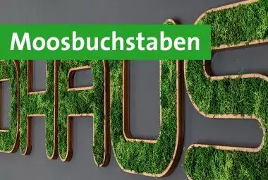 Buchstaben & Logos aus Moos